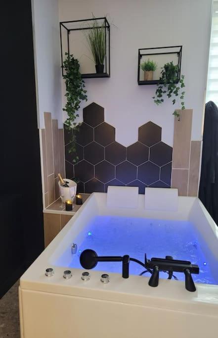 Room, La Douce Angevine Apartment Angers