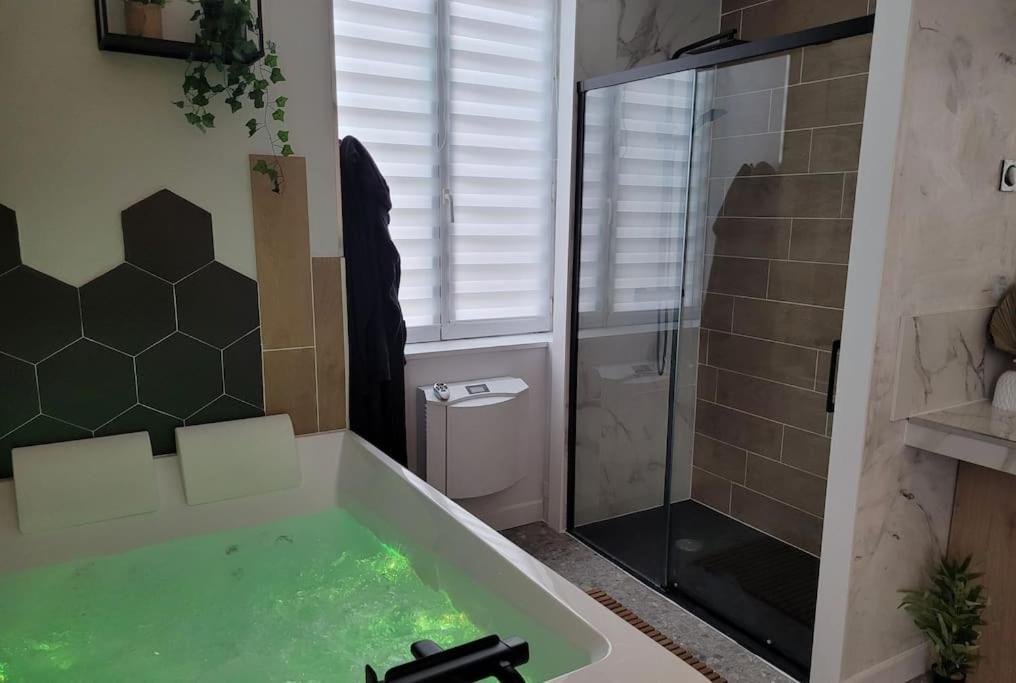 Room, La Douce Angevine Apartment Angers